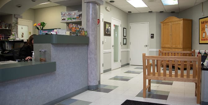 Providence Animal Hospital | Charlotte & Waxhaw Veterinarian